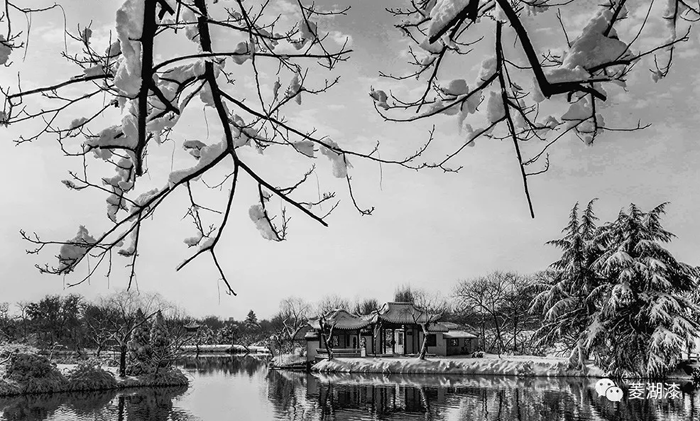 說好的暴雪傾城，是這樣嗎？
